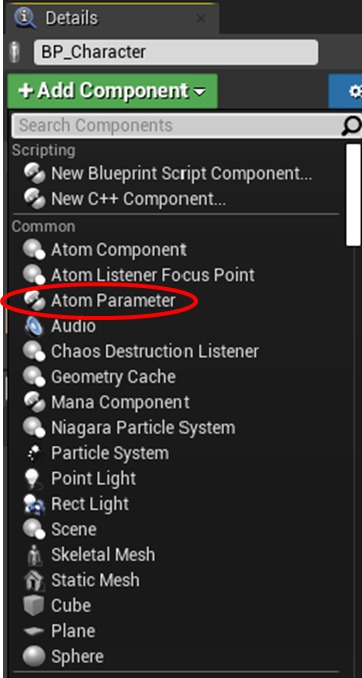 criware_ue4_035_add_atom_parameter_component2.jpg